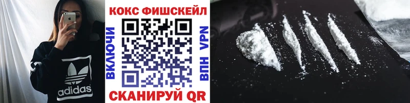 Купить закладки  Воронеж  Cocaine Fish Scale 