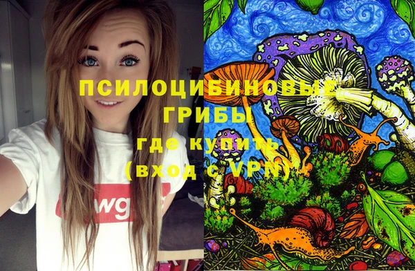 первитин Лабытнанги